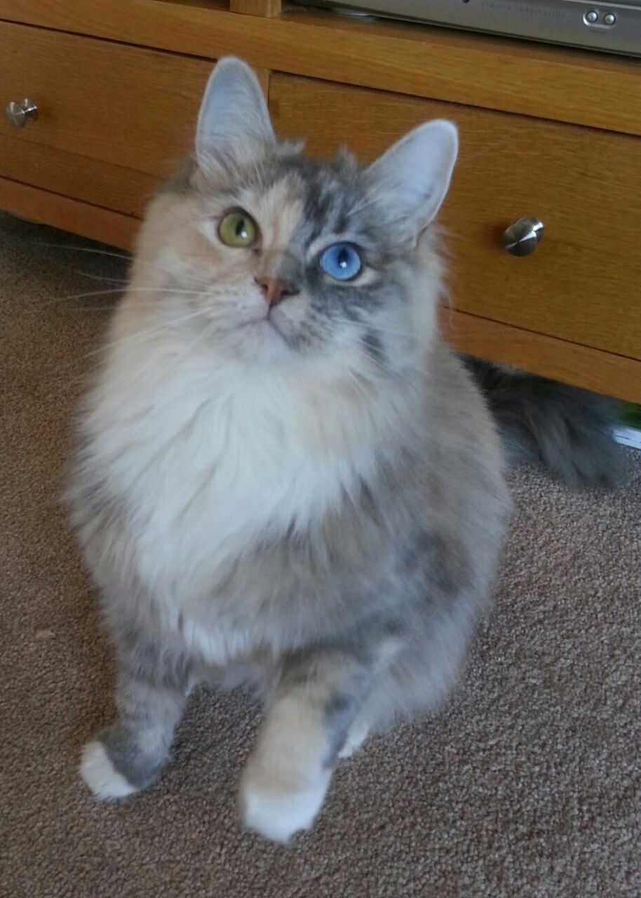 全国青少年拼搏长跑在南京见证青春蜕变,全国青少年短跑记录