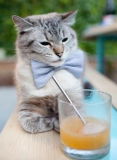 运动员技能竞赛组织方案,运动技能比赛