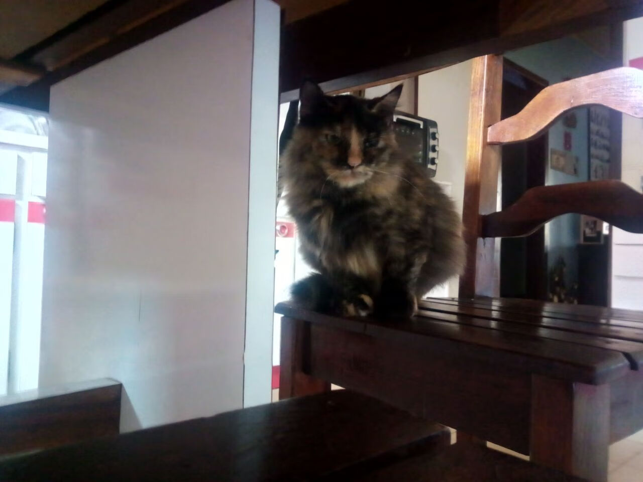 压迫式防守打出连续得分高潮,什么是压迫式运动