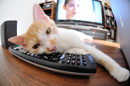 国际乒联混合团体世界杯:美国队的出色战术与技术突破,美国世界乒乓球锦标赛