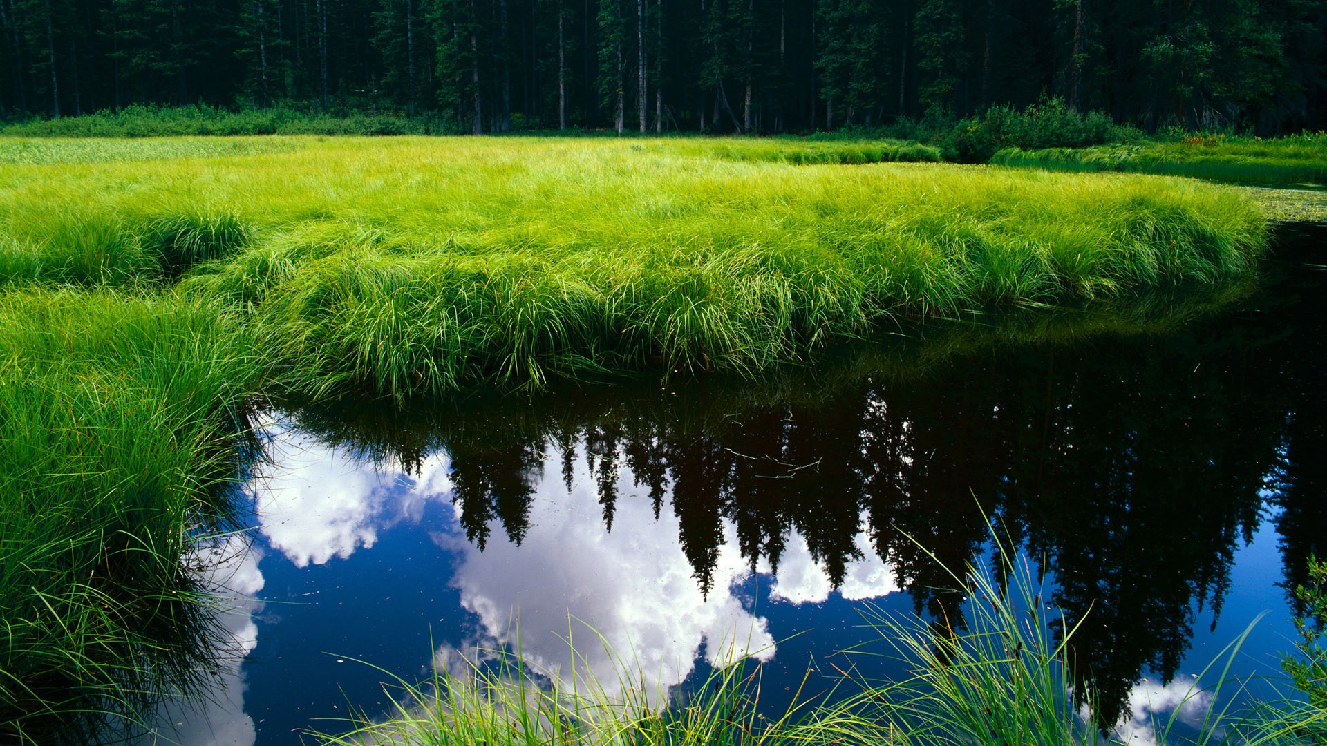 技术型中场在三角结构中如鱼得水,技术型中锋