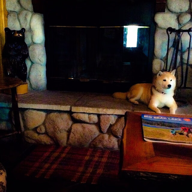 蝶泳划频与节奏配合紧密,蝶泳节奏的把握