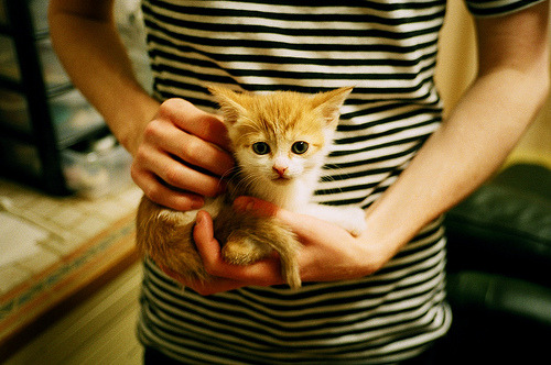 足球战略规划是否缺乏前瞻性,足球未来发展的展望