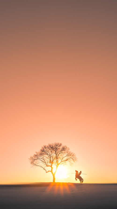 高校拳击联赛热血开战男子组打满三回合,高校拳击比赛