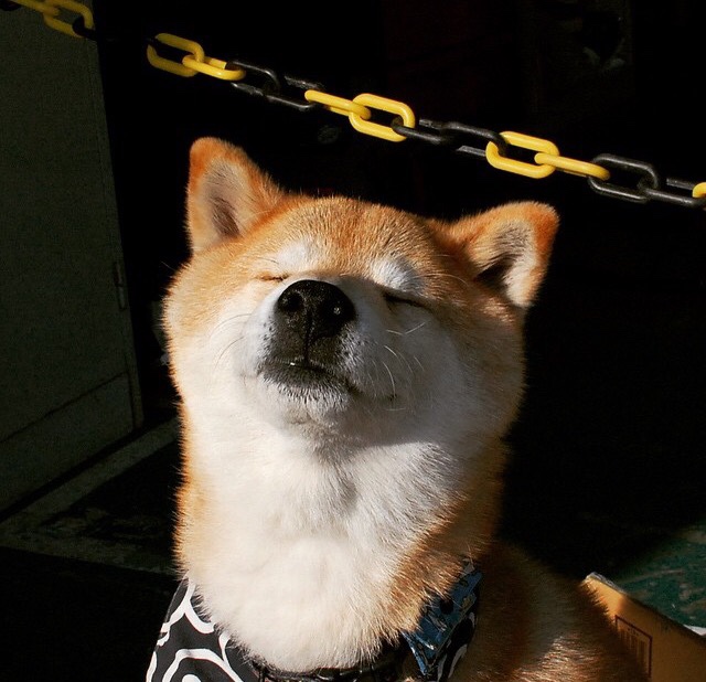 世界杯超级对决:真正的战斗精髓展现无遗,世界杯十大经典对决