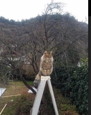 华体会官网-中小学篮球活动纳入城市体育节提升活动层级，中小学篮球现状