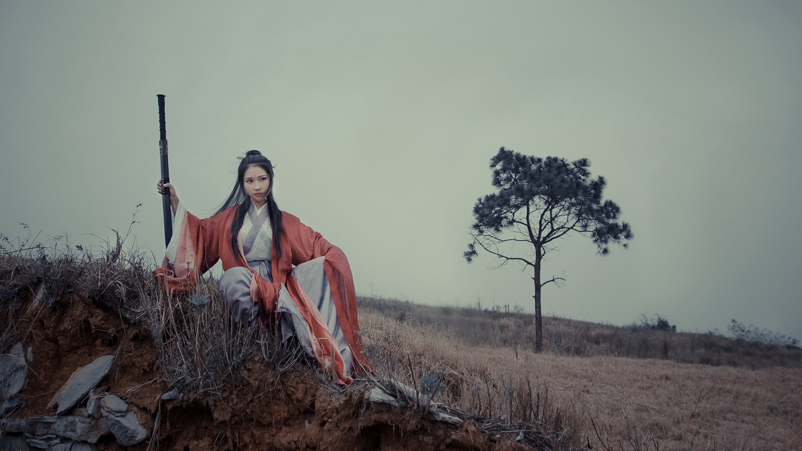 -南非橄榄球赛事吸引大量观众，市场价值稳步上升，南非 橄榄球