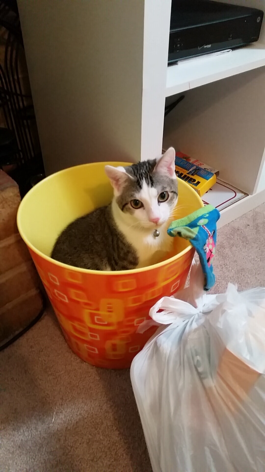 后防线稳定性增强近期比赛中成功化解多次危机局面,后防线最强的足球俱乐部