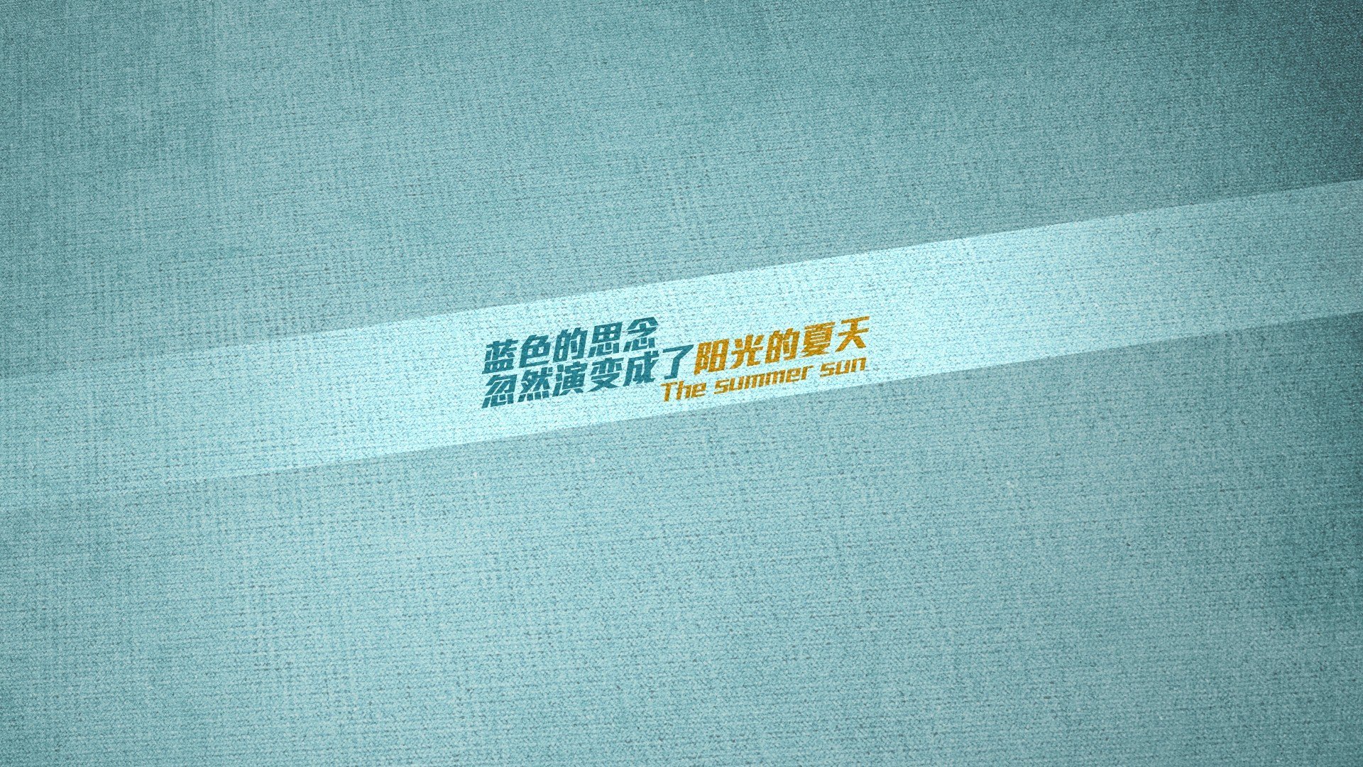 女子篮球加强战术多样化训练丰富比赛策略,女子篮球基础训练动作