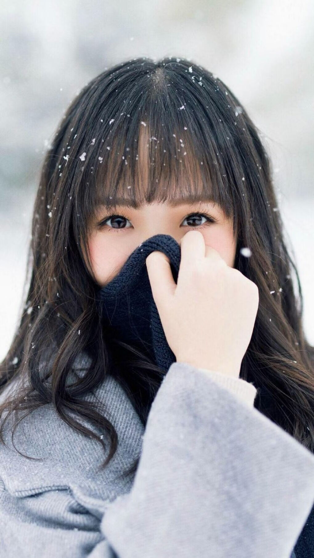 快船组织赛季前封闭特训提升战术执行,快船队伍