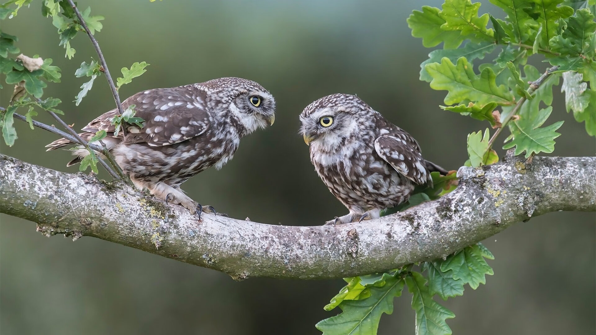 七十年奋进路 同心共筑中国梦，70周年同心追梦
