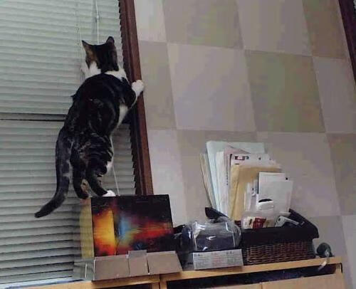 华体会app注册-中国篮球国家队与俱乐部之间资源共享与冲突调节，中国国家篮球队叫什么名字