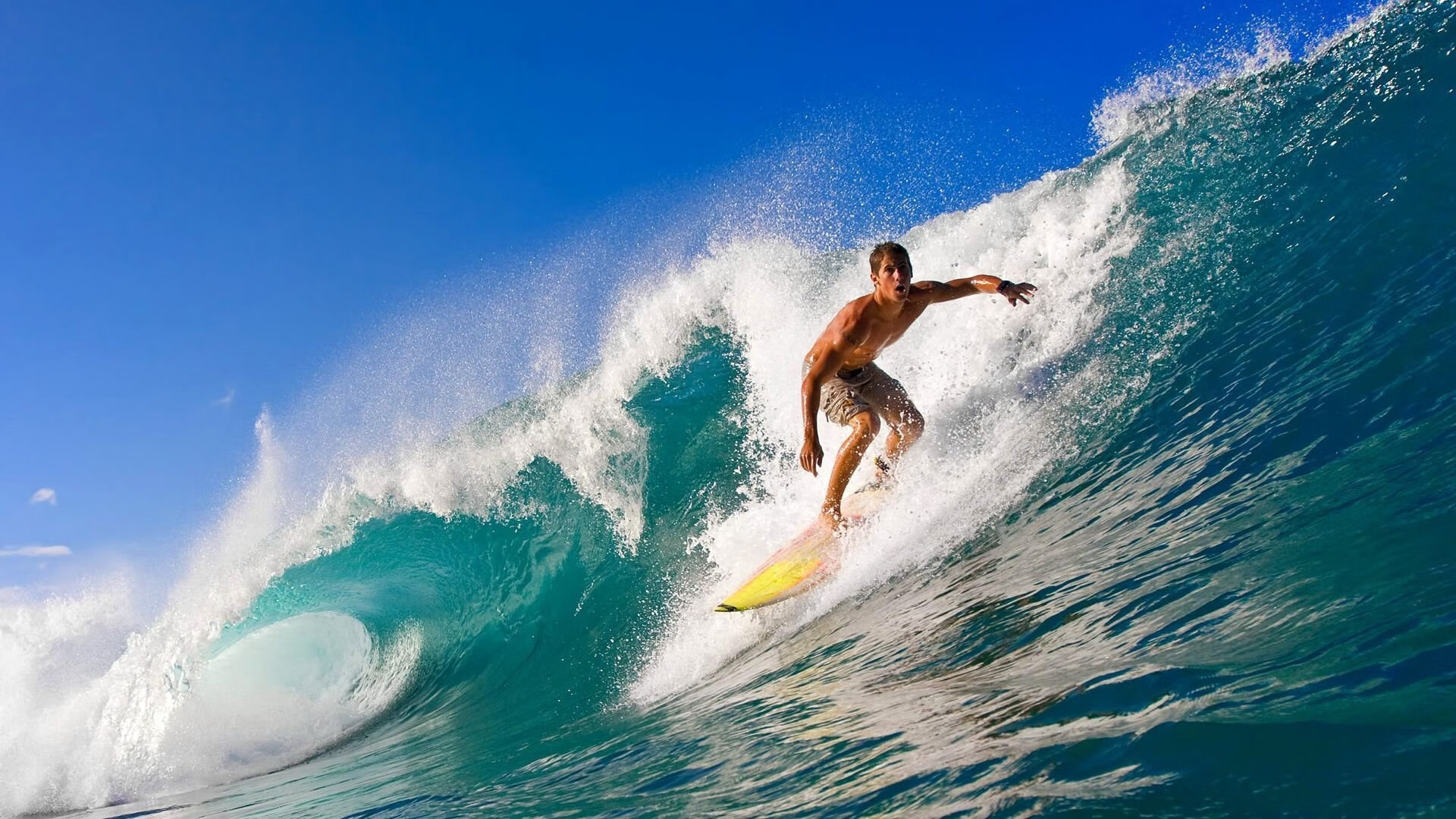 华体会体育入口-“诺克·达维德·彼得森：南非羚羊队的未来领军人物”